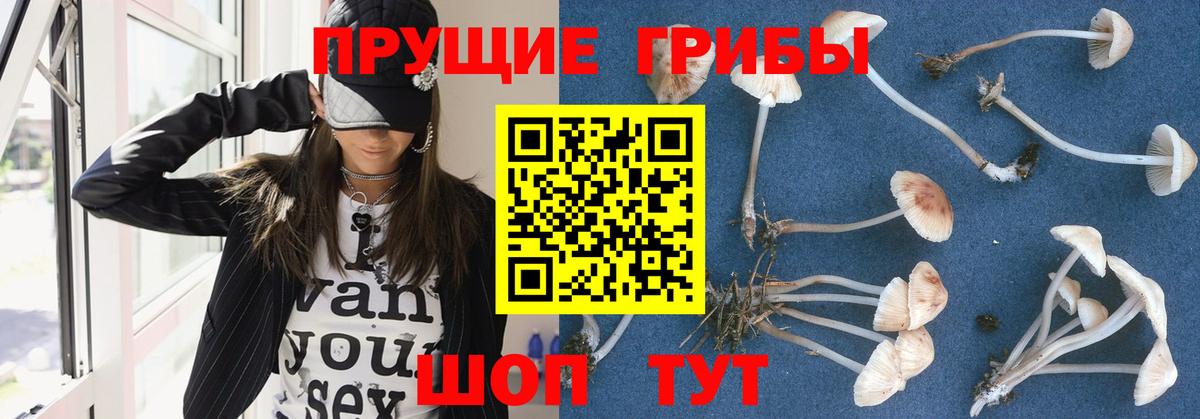 Псилоцибиновые грибы мухоморы  Галлюциногенные грибы ЛСД  Вход с VPN  Куйбышев 